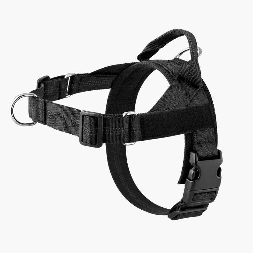 Naropet – Harnais Sans Traction pour Chien