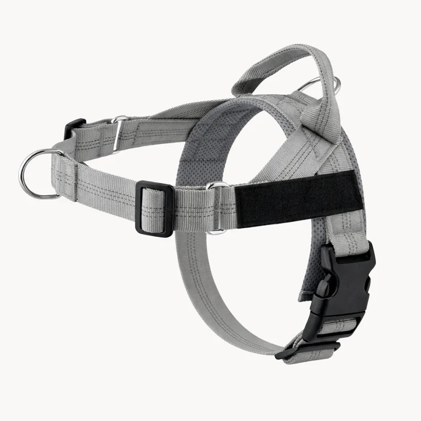 Naropet – Harnais Sans Traction pour Chien