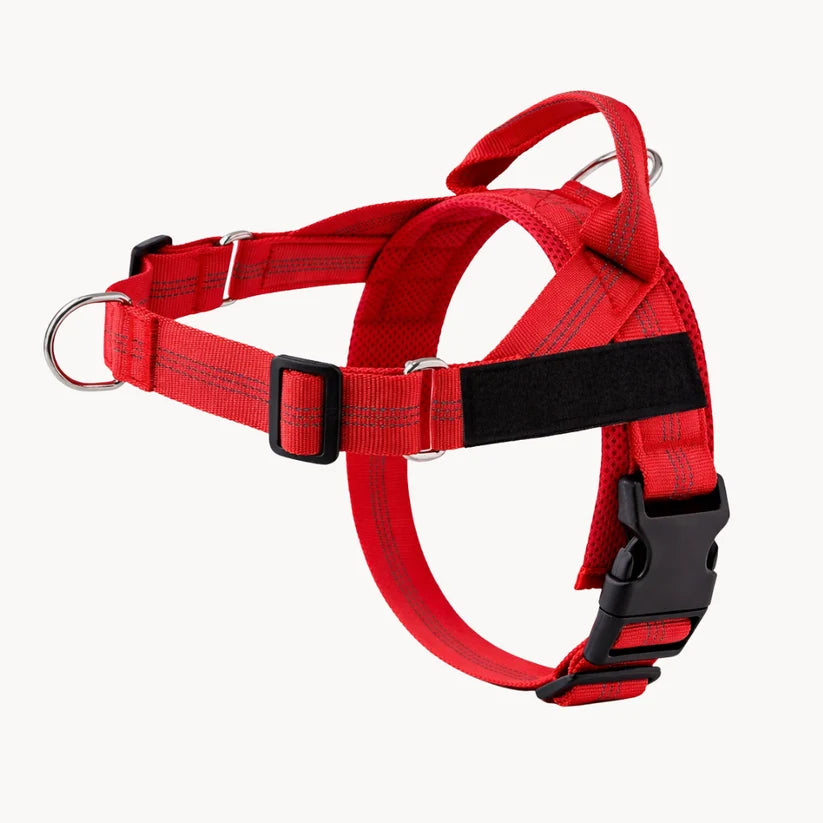 Naropet – Harnais Sans Traction pour Chien