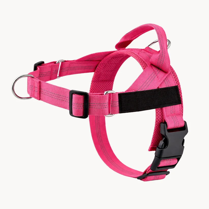 Naropet – Harnais Sans Traction pour Chien