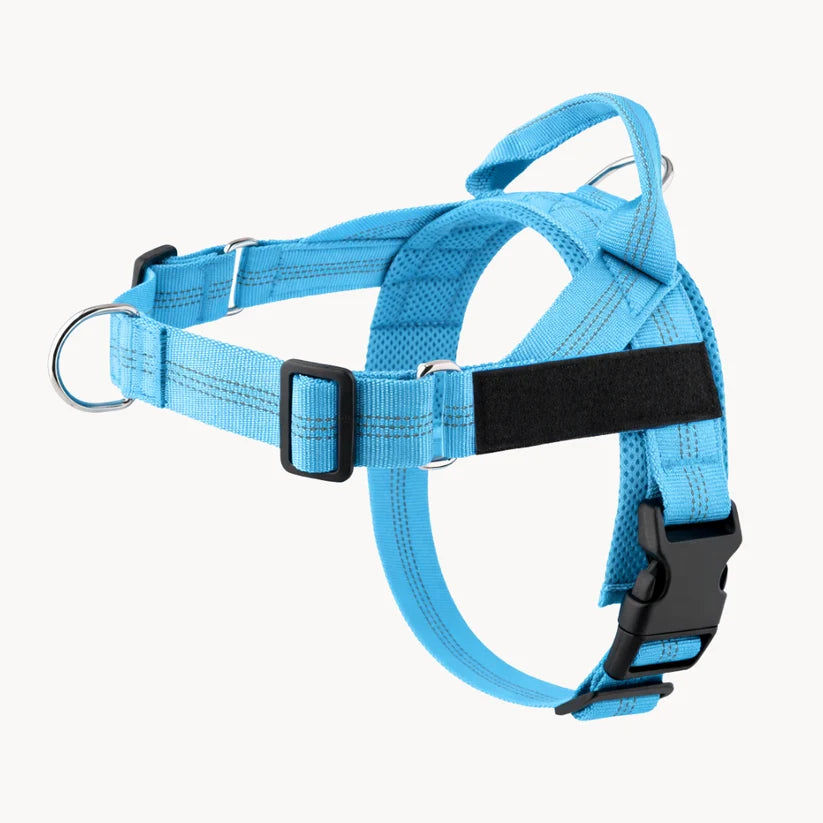 Naropet – Harnais Sans Traction pour Chien
