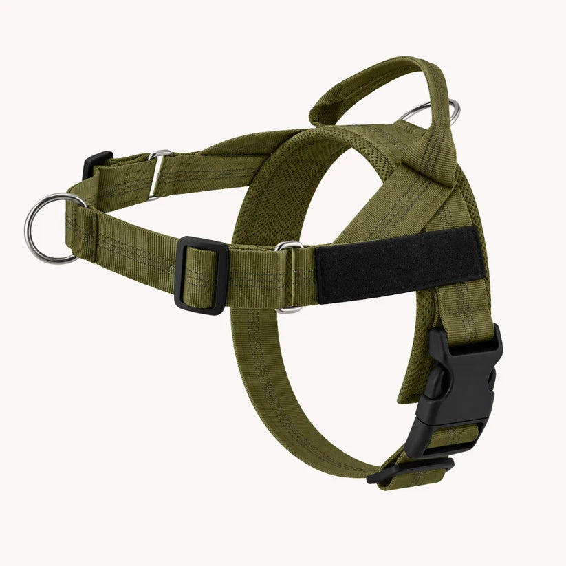 Naropet – Harnais Sans Traction pour Chien