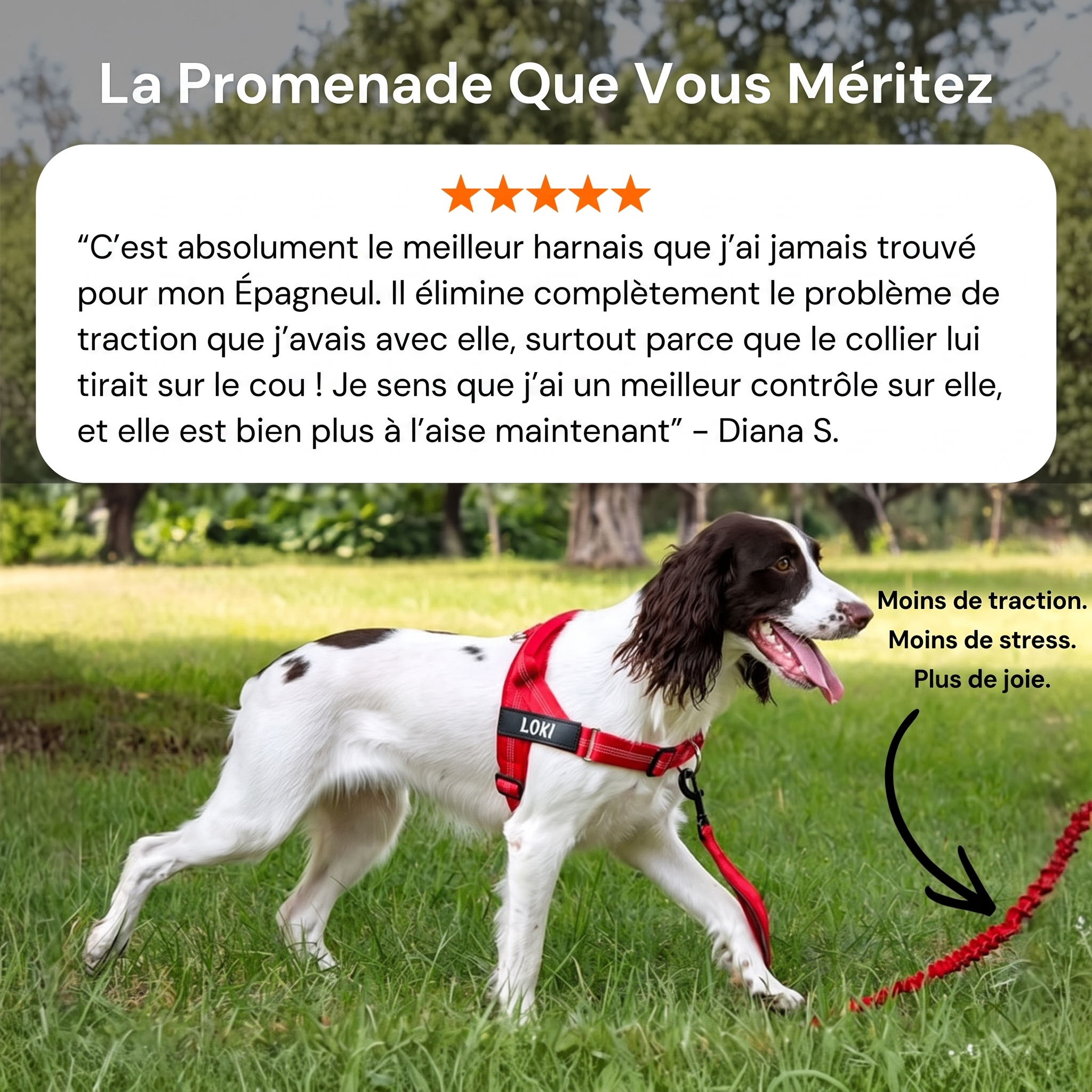 Naropet – Harnais Sans Traction pour Chien