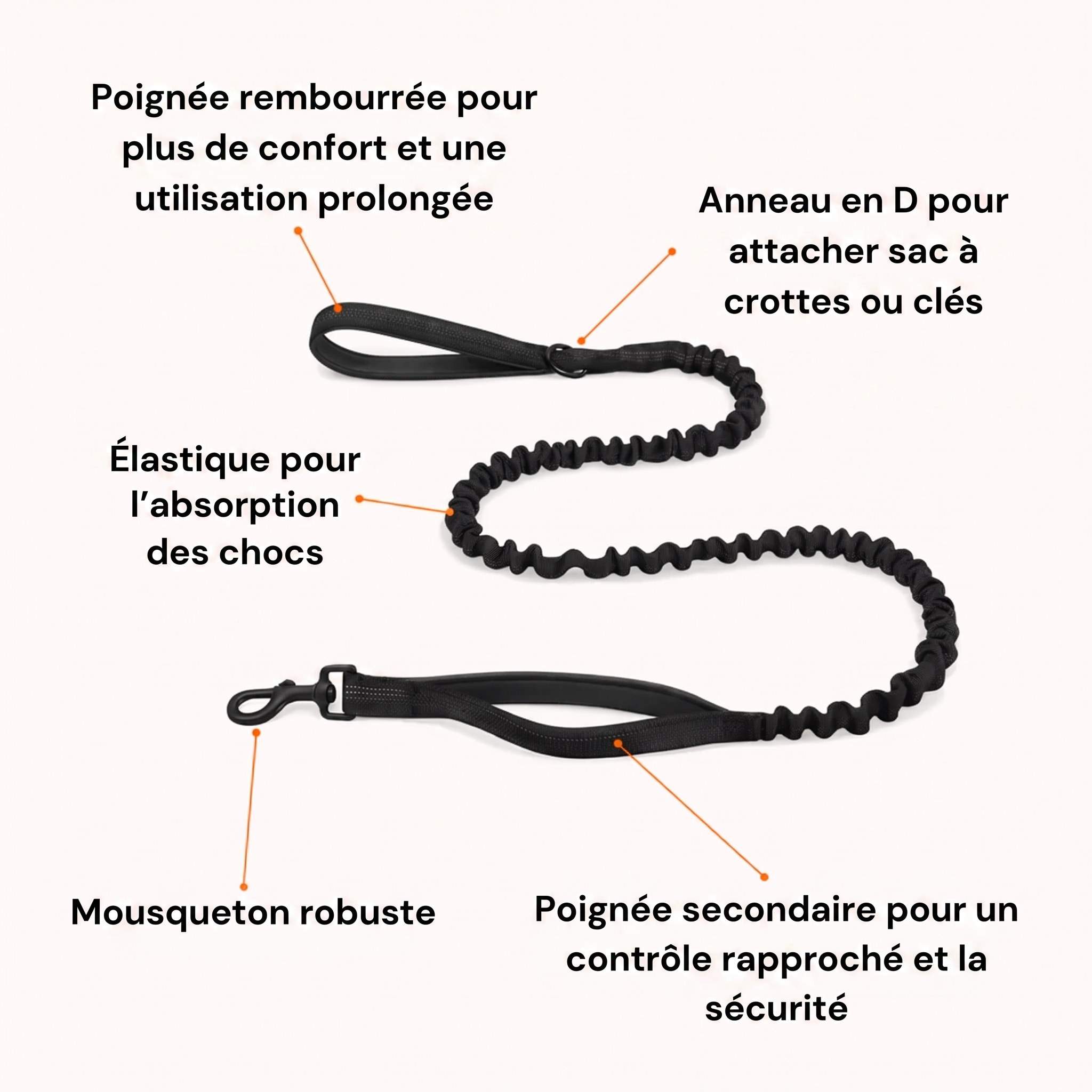 Naropet – Harnais Sans Traction pour Chien