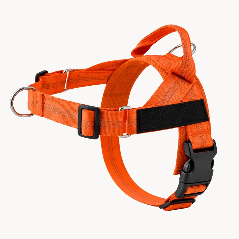 Naropet – Harnais Sans Traction pour Chien