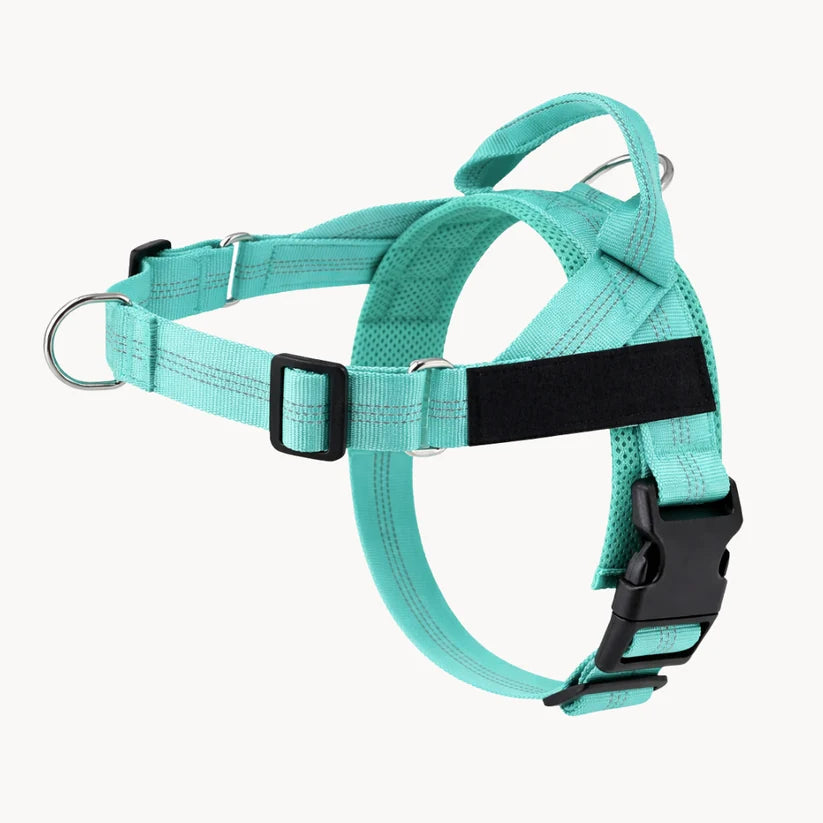 Naropet – Harnais Sans Traction pour Chien